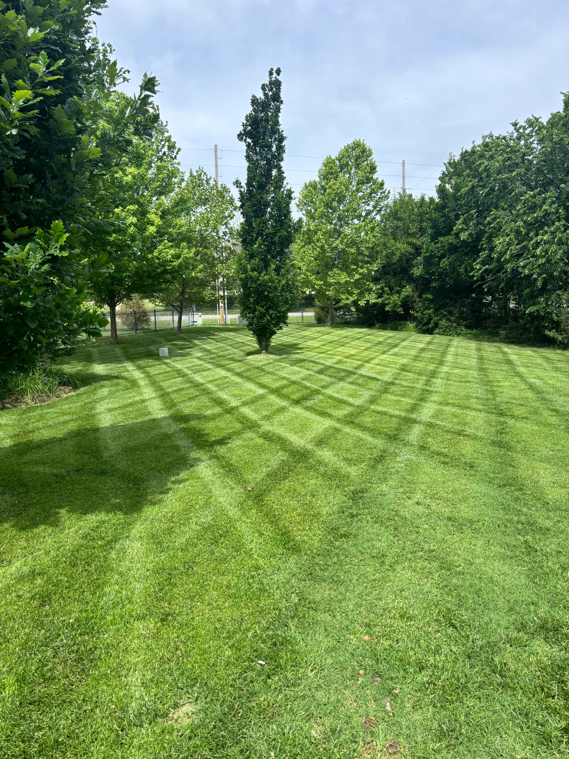 Lush green lawn with striped mowing patterns, bordered by trees and a metal fence under a blue sky.