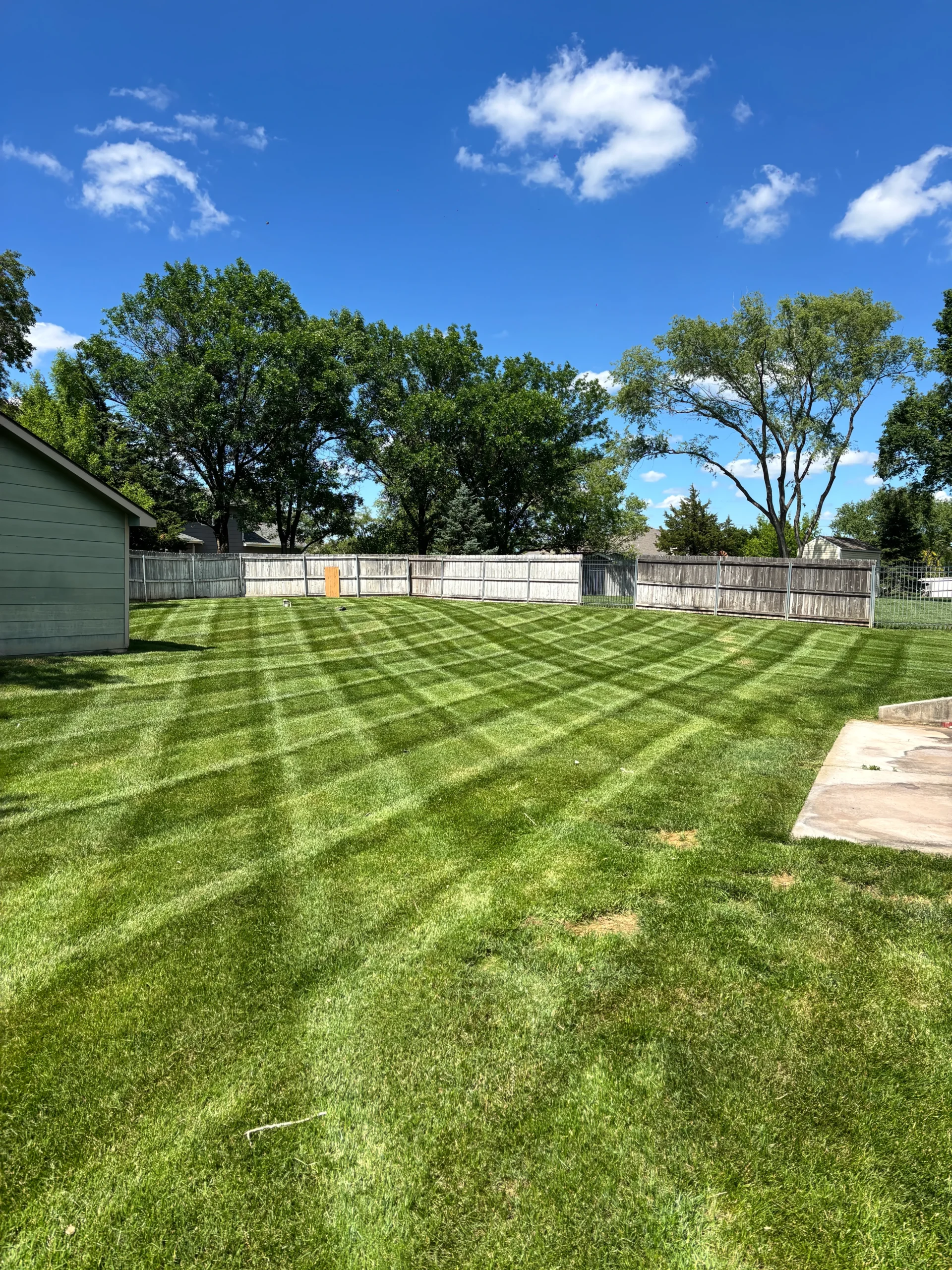 Backyard with freshly mowed grass showing diagonal mowing stripes, wooden fence, and tall trees under a blue sky.
